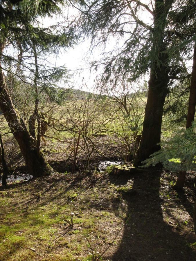 Ferienwohnung Wandervogel Braunlage Exteriér fotografie
