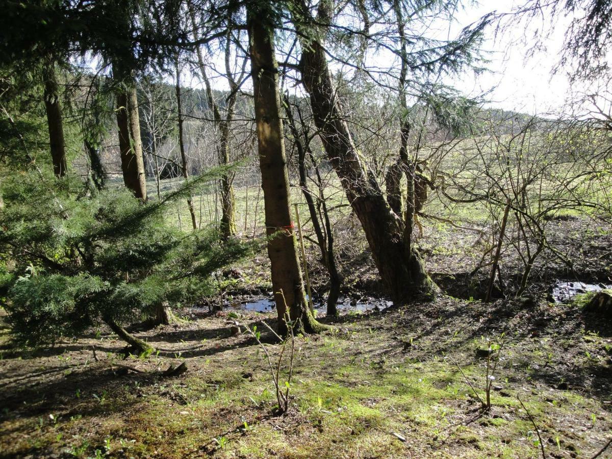 Ferienwohnung Wandervogel Braunlage Exteriér fotografie