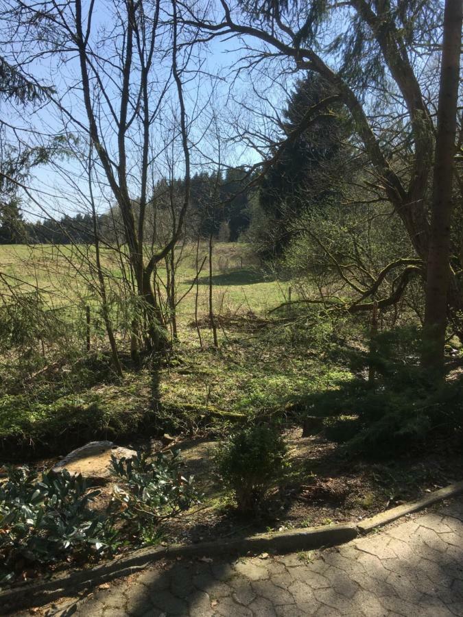 Ferienwohnung Wandervogel Braunlage Exteriér fotografie